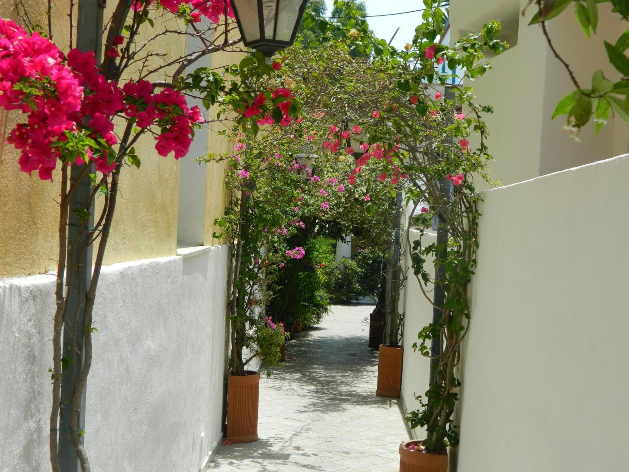 Hotel Villa Hermosa Ischia Exterior photo